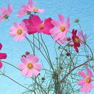 博鱼中国体育官网登录